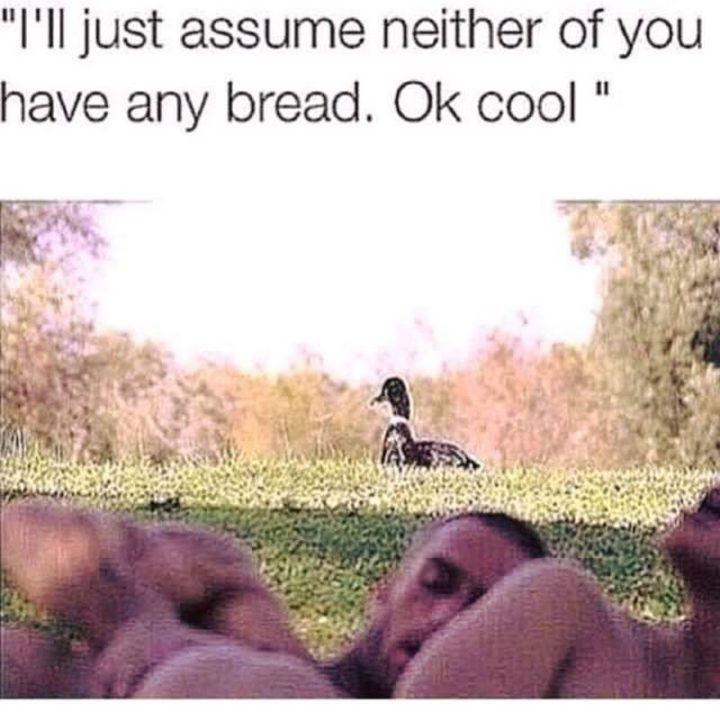 "I'll just assume neither of you has any bread. Ok cool."