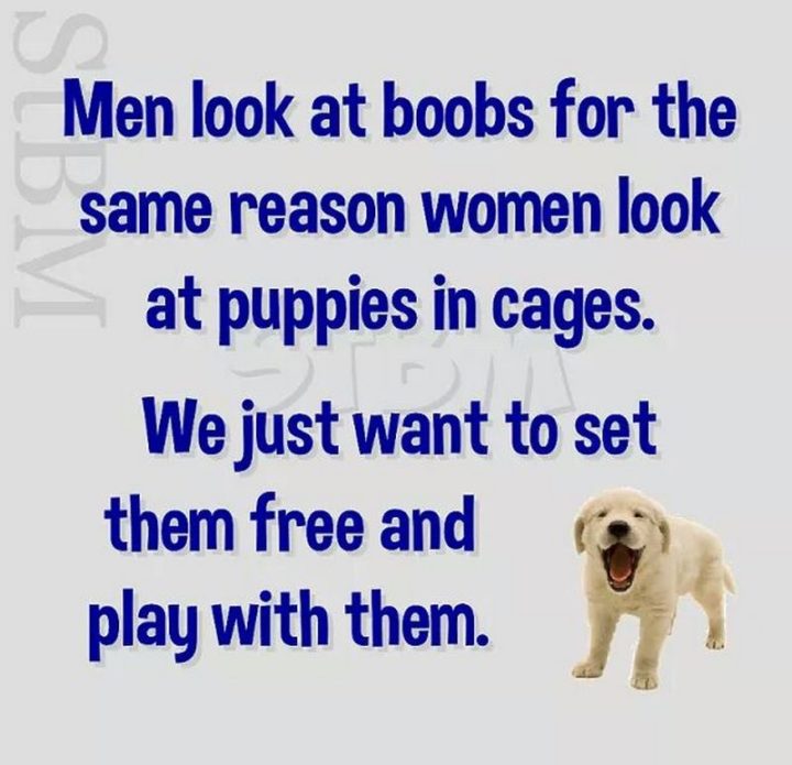 "Men look at boobs for the same reason women look at puppies in cages. We just want to set them free and play with them."