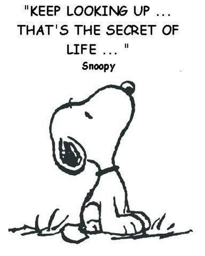 "Keep looking up...that’s the secret of life." - Snoopy