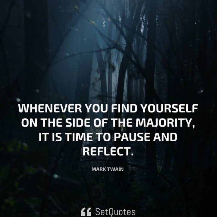 "Whenever you find yourself on the side of the majority, it is time to pause and reflect." - Mark Twain