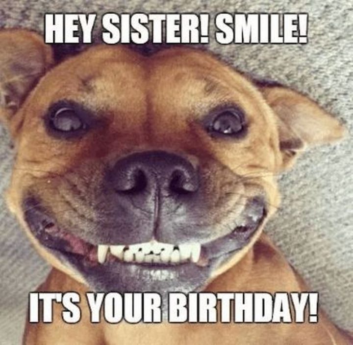 "Hey, sister! Smile! It's your birthday!"