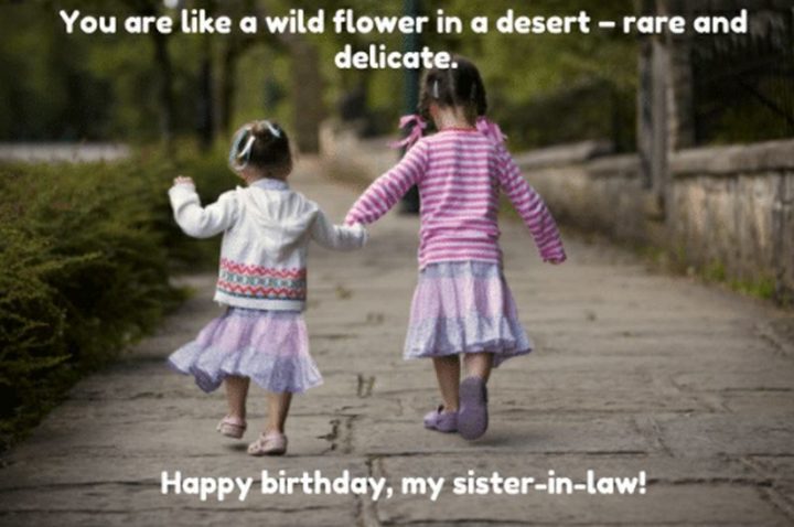 "You are like a wildflower in a desert - rare and delicate. Happy birthday, my sister in law!