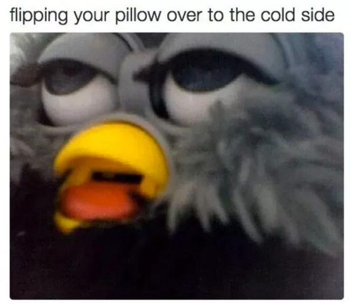 71 Funny Sleep Memes - "Flipping your pillow over to the cold side."