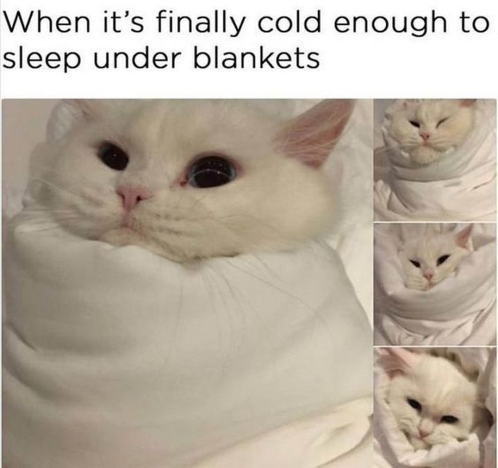 "When it's finally cold enough to sleep under blankets."