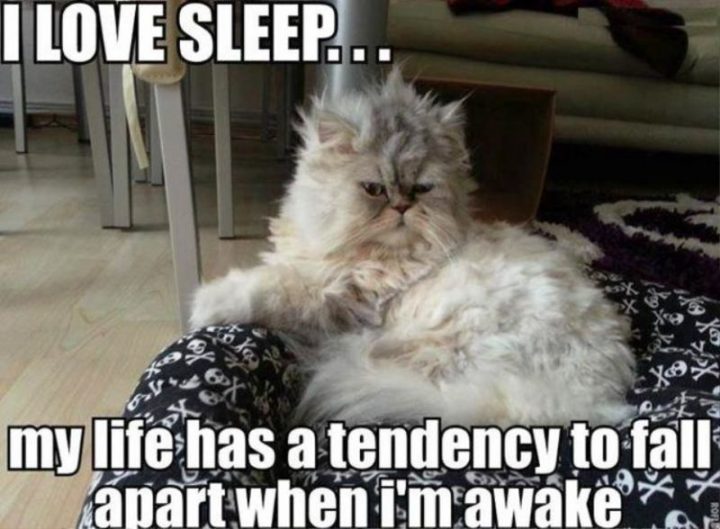 "I love sleep...my life has a tendency to fall apart when I'm awake."