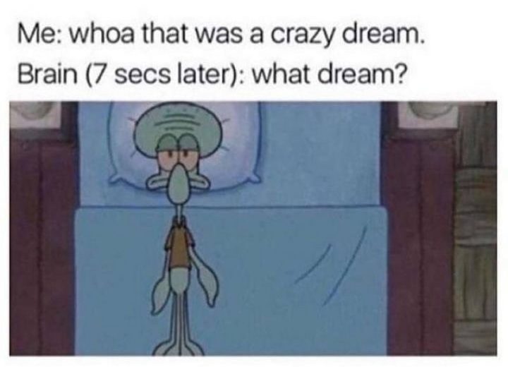 "Me: Whoa that was a crazy dream. Brain (7 secs later): What dream?"