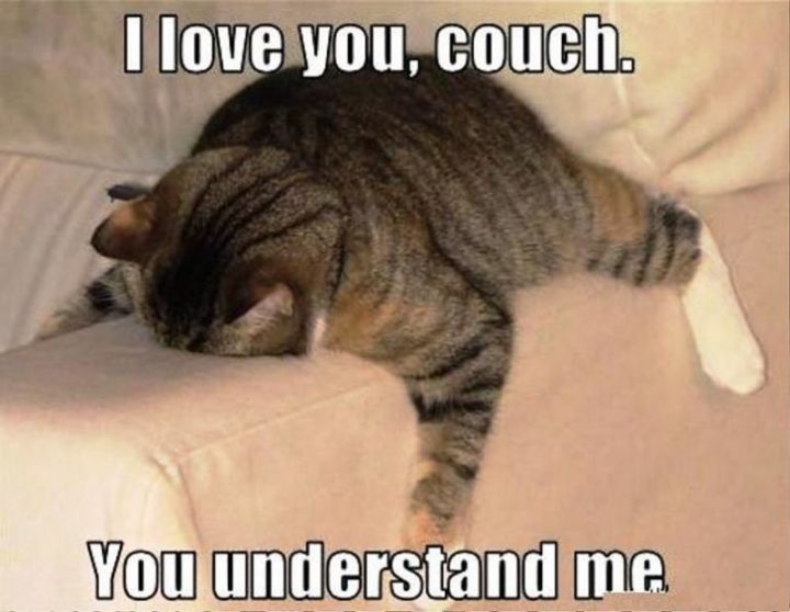 "I love you, couch. You understand me."