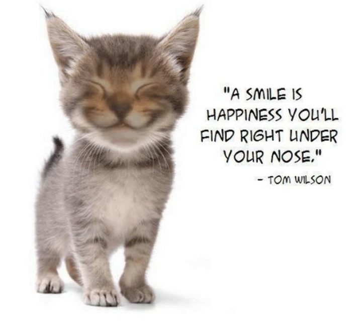55 Smile Quotes - "A smile is happiness you’ll find right under your nose." - Tom Wilson