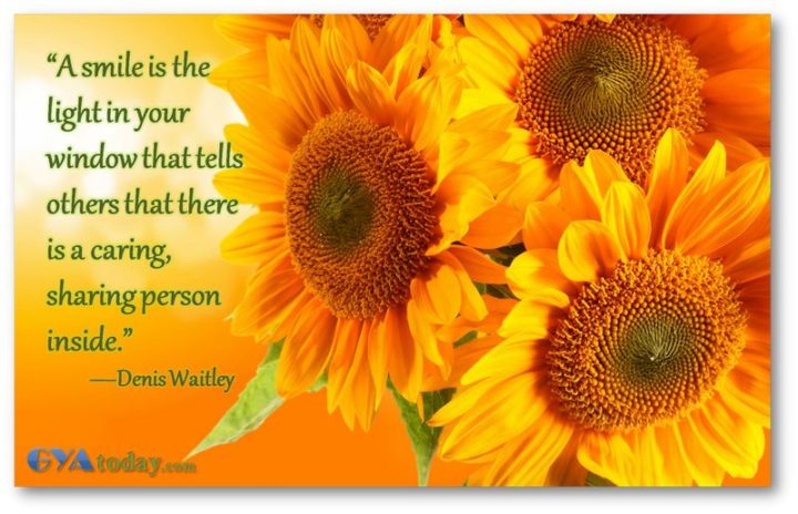 55 Smile Quotes - "A smile is the light in your window that tells others that there is a caring, sharing person inside." - Denis Waitley