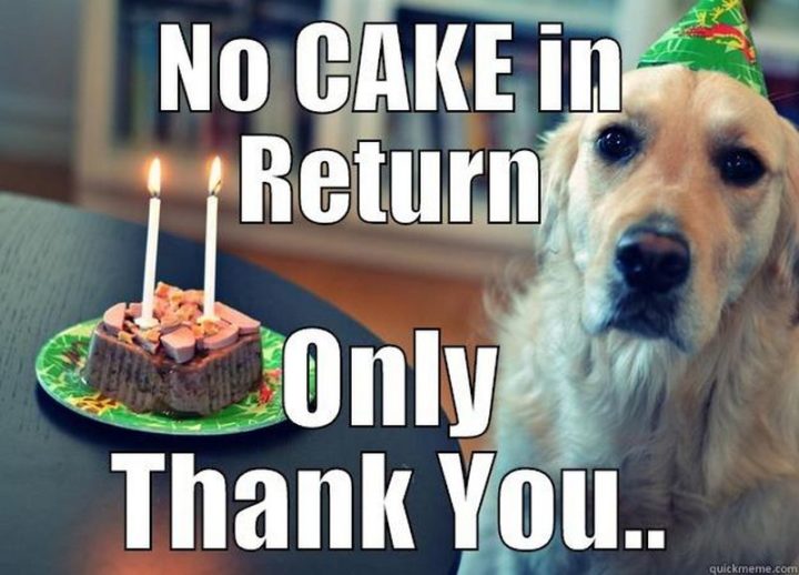 "No cake in return. Only thank you..."
