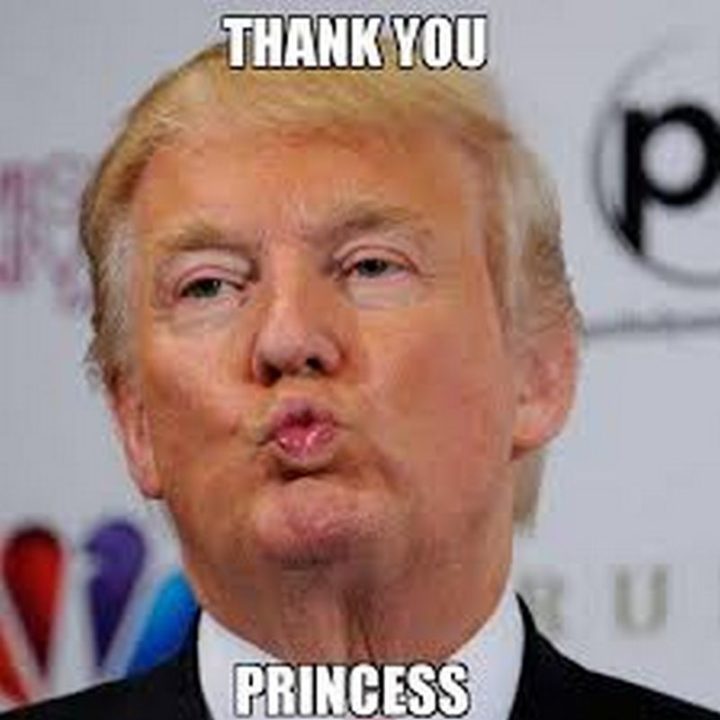 "Thank you, princess."