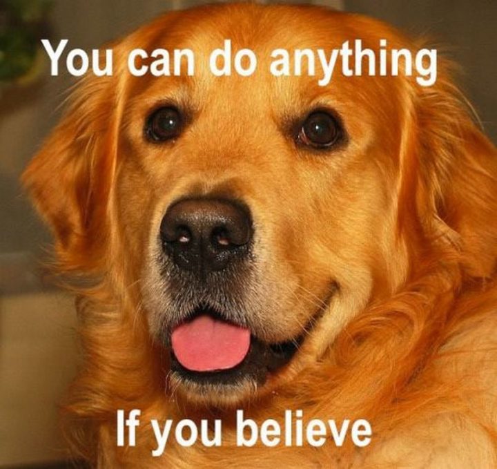 101 You Can Do It Memes - "You can do anything if you believe."
