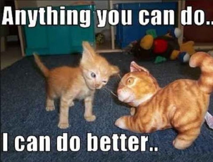 101 You Can Do It Memes - "Anything you can do...I can do better."
