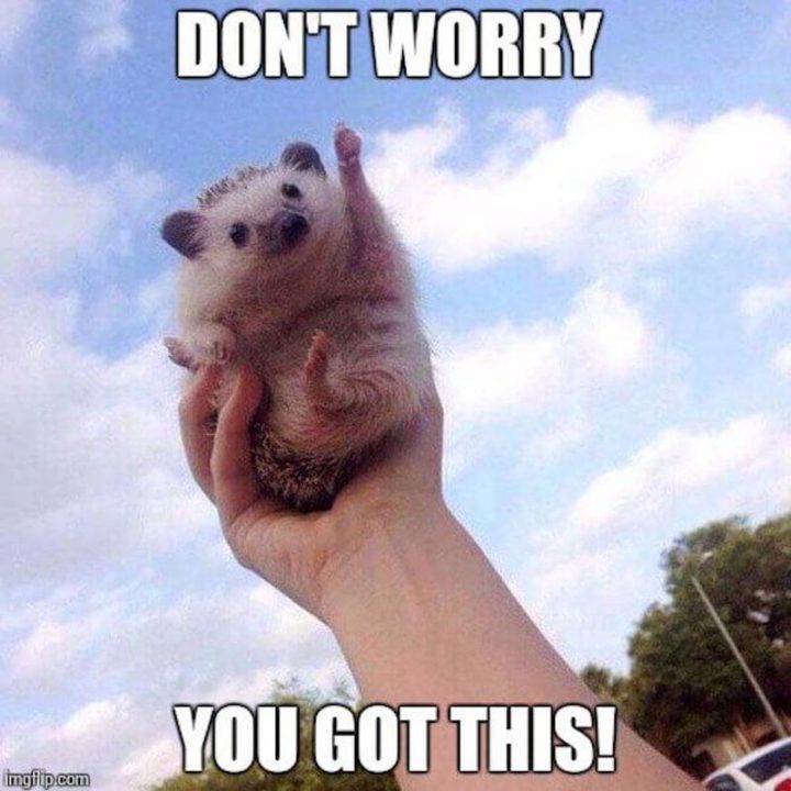 101 You Can Do It Memes - "Don't worry, you got this!"