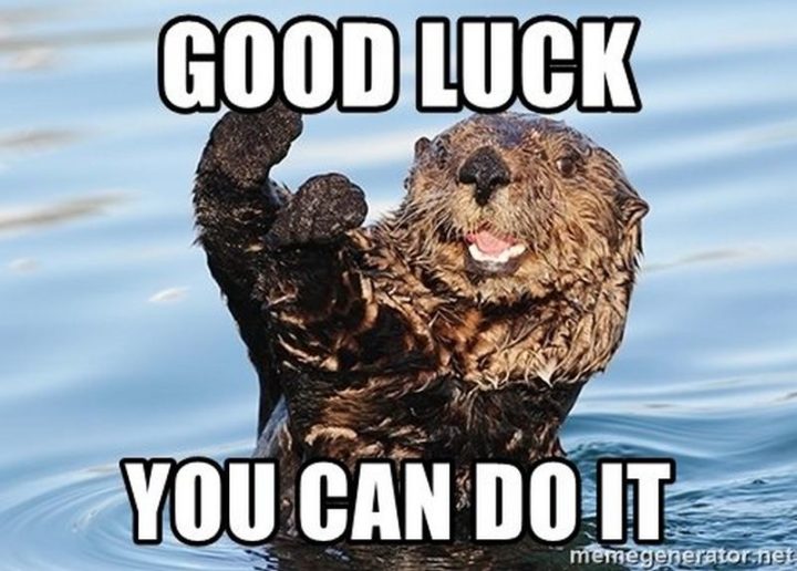 101 You Can Do It Memes - "Good luck, you can do it."
