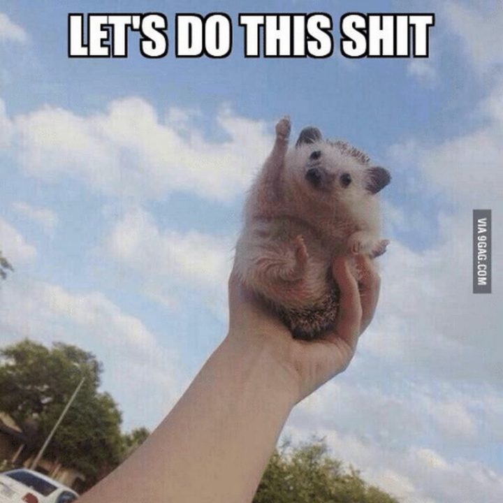 "Let's do this shit."