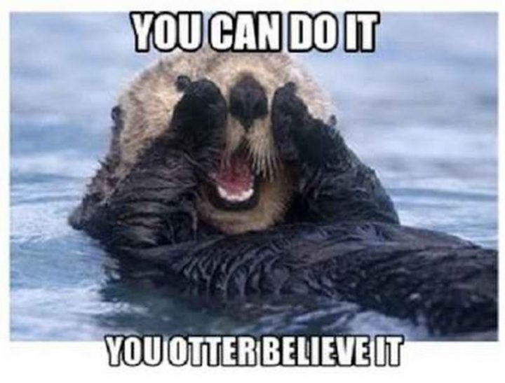 "You can do it. You otter believe it."