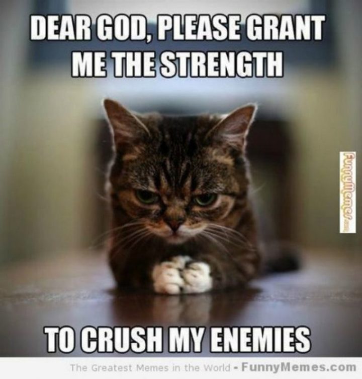 "Dear God, please grant me the strength to crush my enemies."