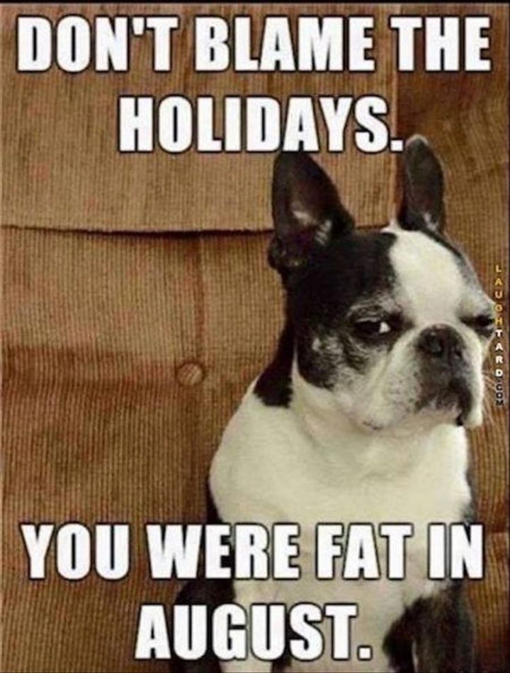 "Don't blame the holidays. You were fat in August."