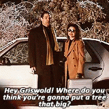 "Hey, Griswold! Where do you think you're gonna put a tree that big? Bend over and I'll show you."