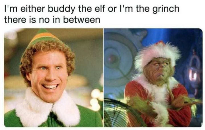 "I'm either buddy the elf or I'm the grinch. There is no in-between."