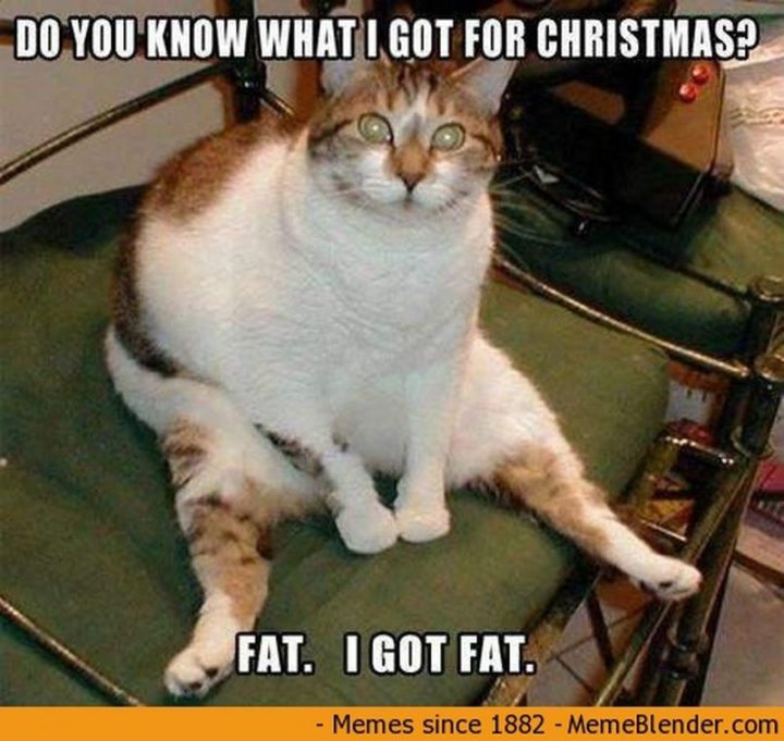 "Do you know what I got for Christmas? Fat. I got fat."