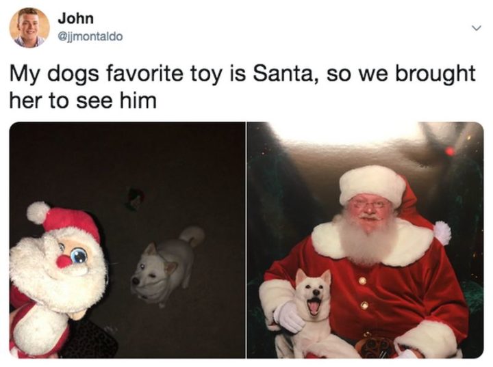 "My dog's favorite toy is Santa, so we brought her to see him."