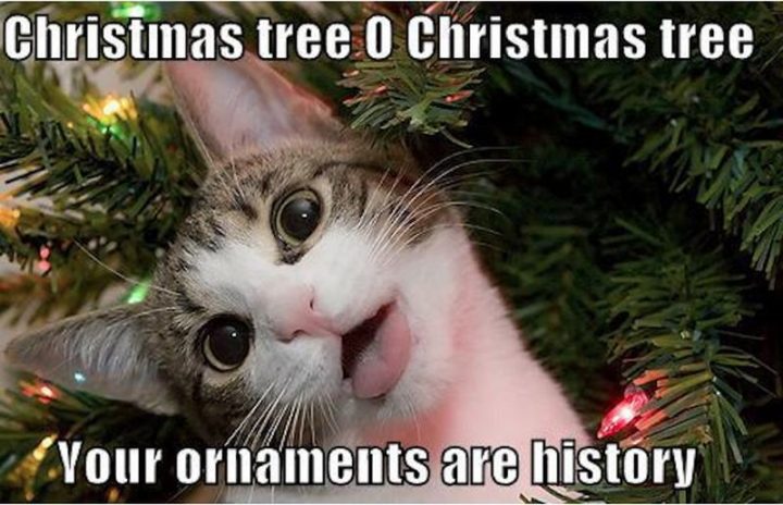 "Christmas tree O Christmas tree, your ornaments are history."