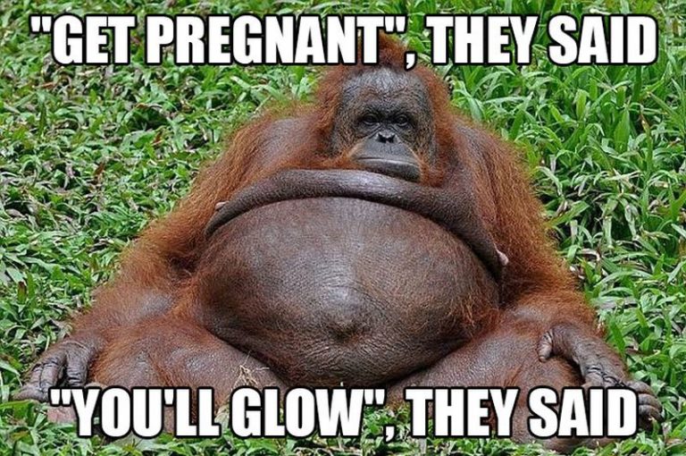 71 Funny Pregnancy Memes With Laughs For Moms And Dads