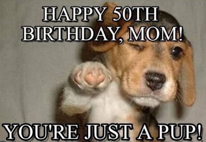 "Happy 50th birthday, mom! You're just a pup!"