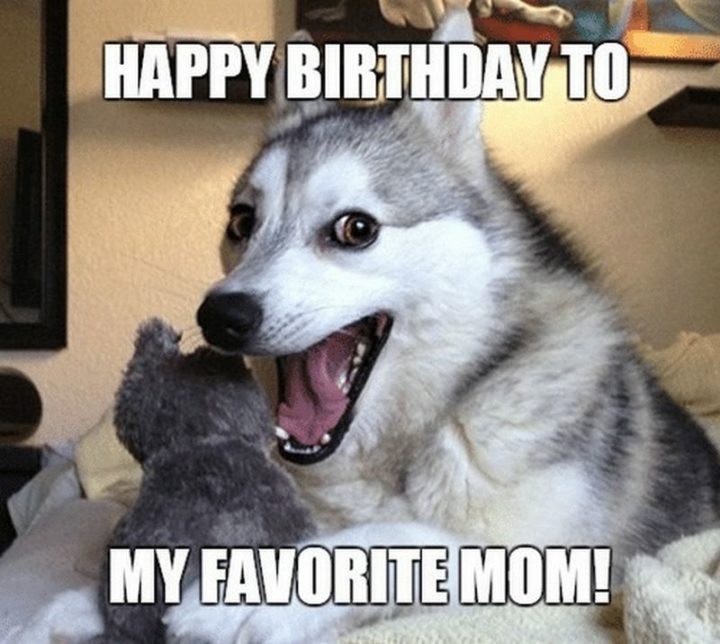 "Happy birthday to my favorite mom!"