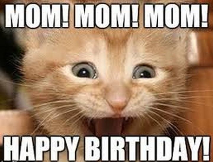 "Mom! Mom! Mom! Happy birthday!"