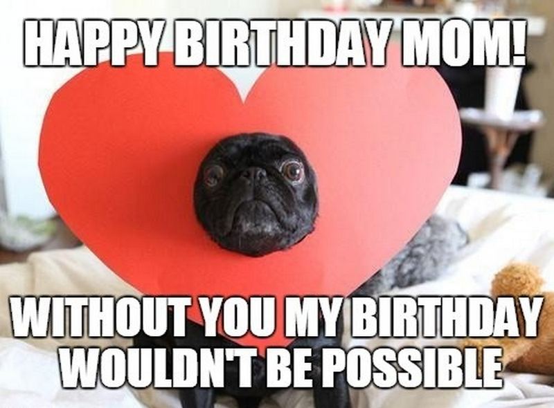 101 "Happy Birthday Mom" Memes for the Best Mother in the World