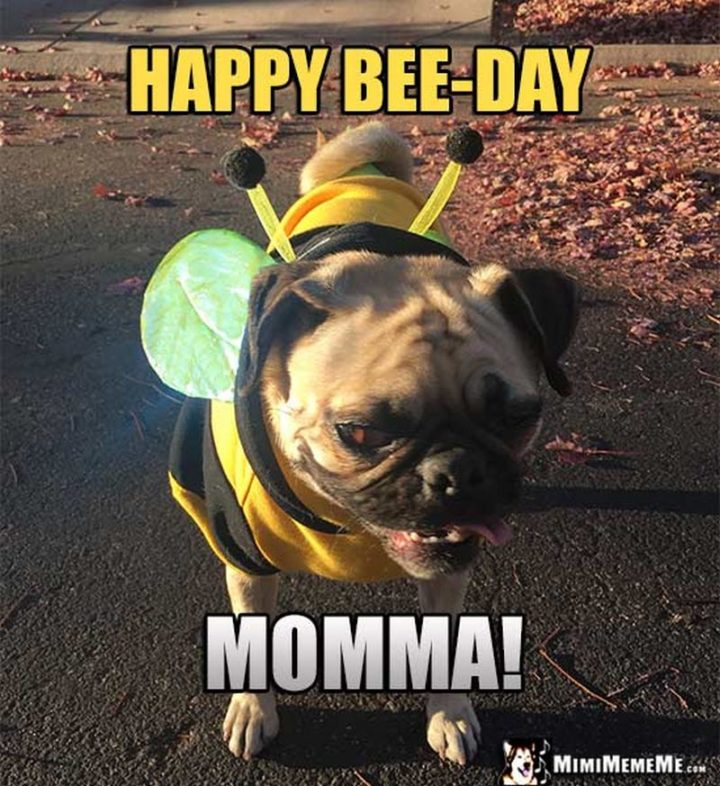 "Happy bee-day momma!"