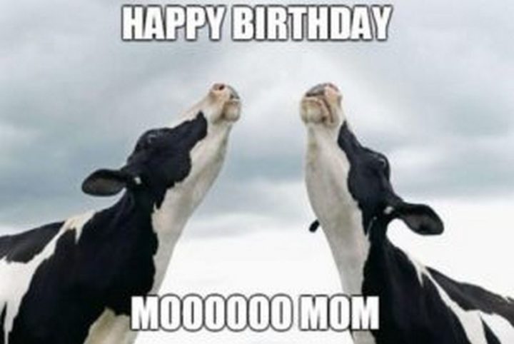 "Happy birthday moooooo mom."