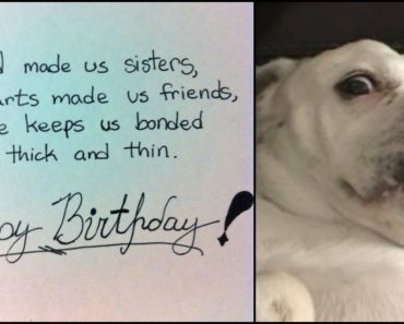 91 Sister Birthday Memes for Your Sibling That Is Also a Friend