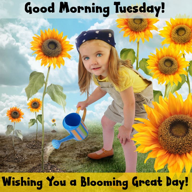 55 Funny Tuesday Quotes and Images with Inspirational Messages