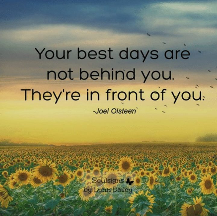 55 Funny Tuesday Quotes and Images with Inspirational Messages
