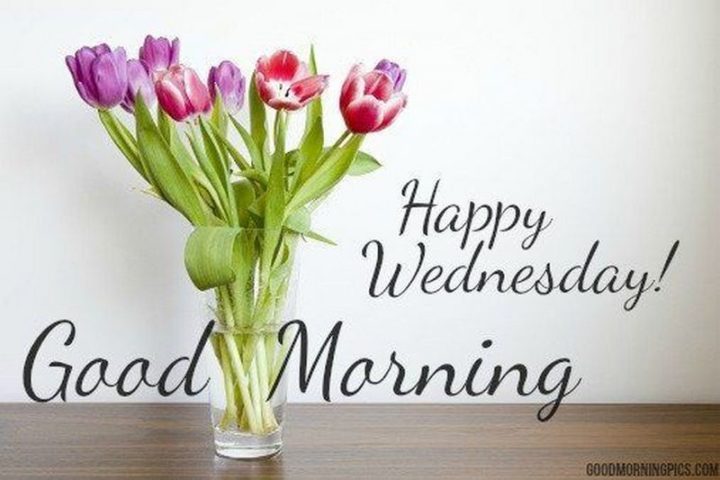 65 Happy Wednesday Quotes - "Happy Wednesday! Good Morning." - Unknown  