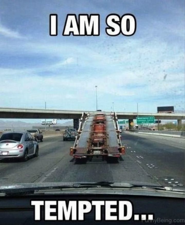 85 Funny Car Memes - "I am so tempted..."