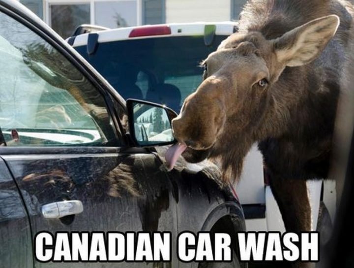 "Canadian car wash."