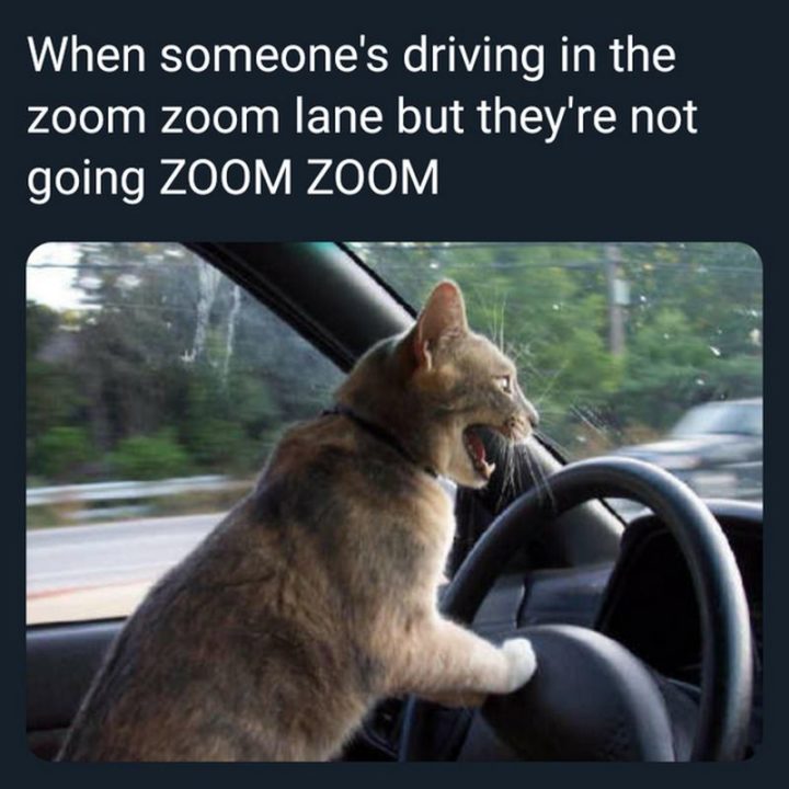 "When someone's driving in the zoom zoom lane but they're not going ZOOM ZOOM."