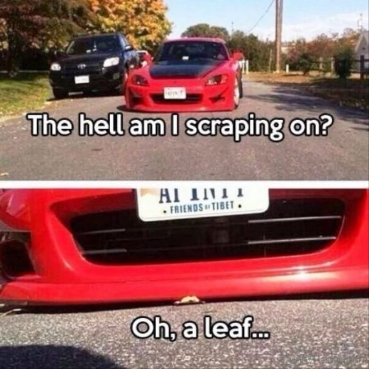 "The hell am I scraping on? Oh, a leaf..."