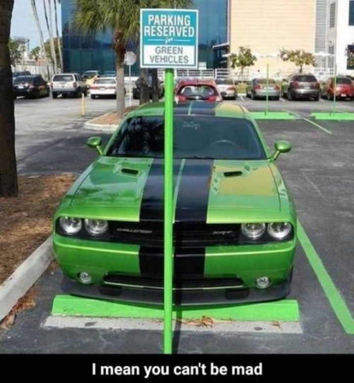 "Parking reserved for green vehicles. I mean you can't be mad."