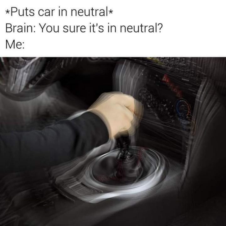 "*Puts car in neutral* Brain: You sure it's in neutral? Me:"
