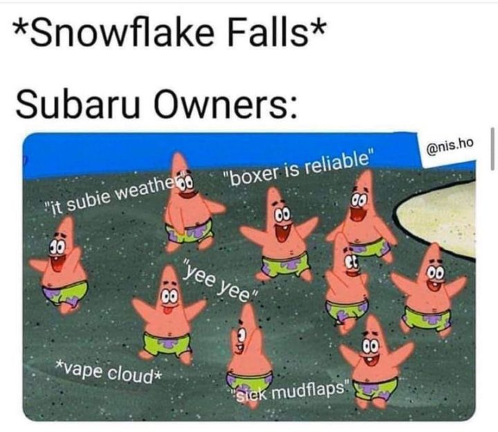 "*Snowflake falls* Subaru owners: It subie weather. Boxer is reliable. Yee yee. Vape cloud. Sick mudflaps."