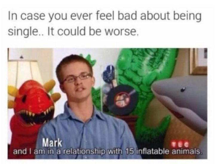 "In case you ever feel bad about being single...I could be worse. Mark: And I am in a relationship with 15 inflatable animals."