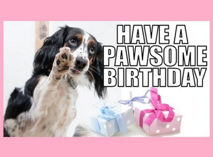 "Have a pawsome birthday."