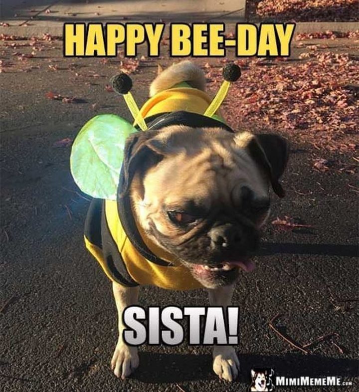 "Happy bee-day sista!"