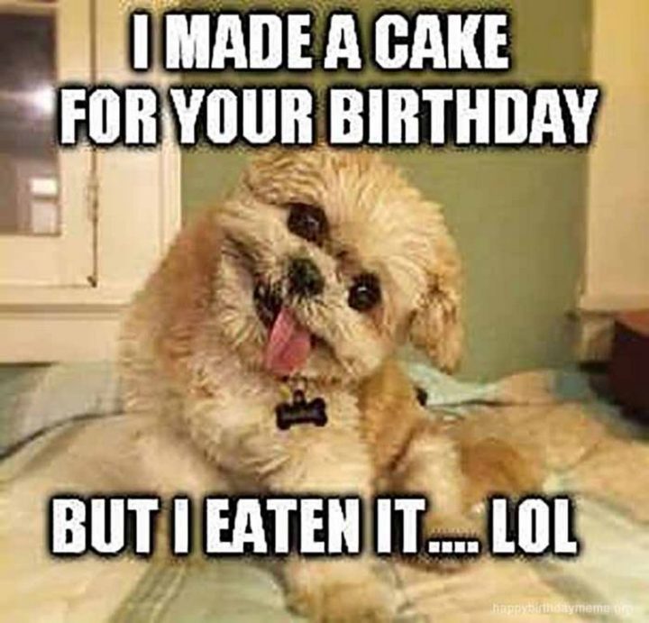 "I made a cake for your birthday but I eaten it...LOL."